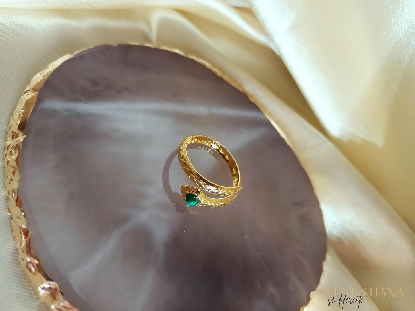 Anillo Hérpeta - Venustiana