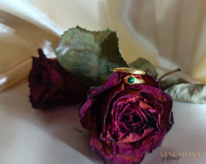 Anillo Hérpeta - Venustiana